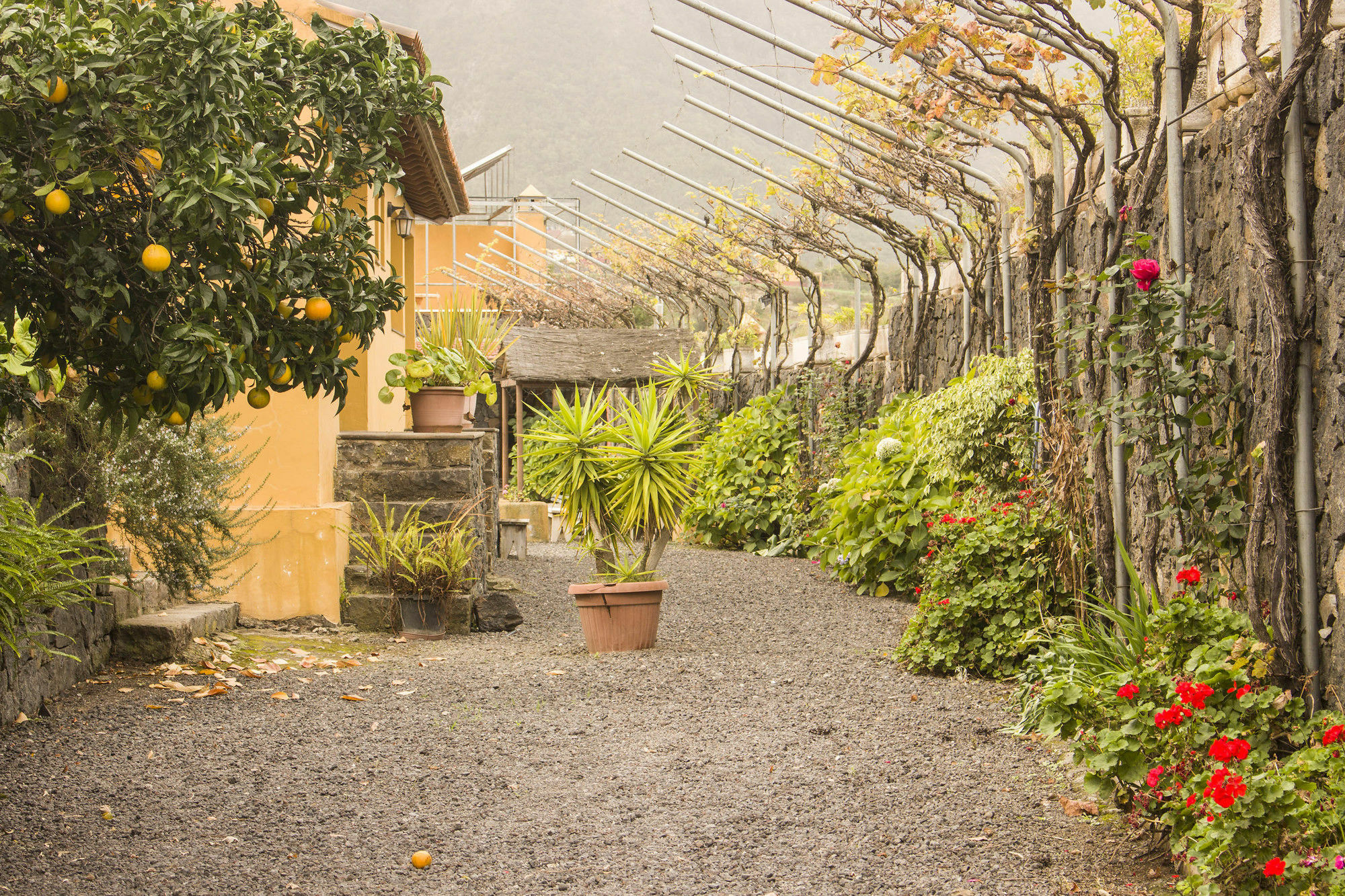 Casa Rural La Tanquera Los Realejos Esterno foto